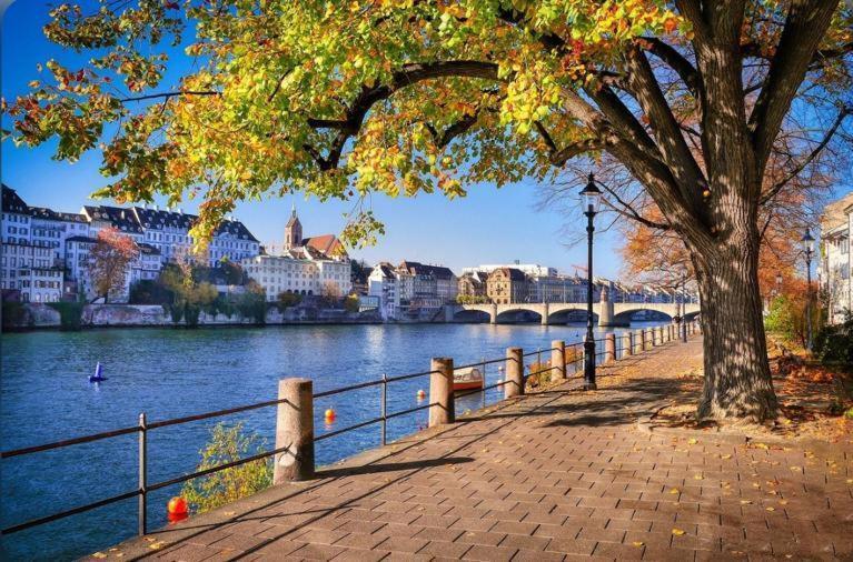 Schweiz Appartement Bazel Buitenkant foto