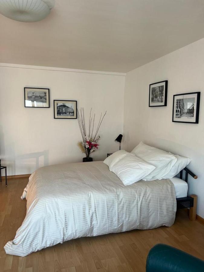 Schweiz Appartement Bazel Buitenkant foto